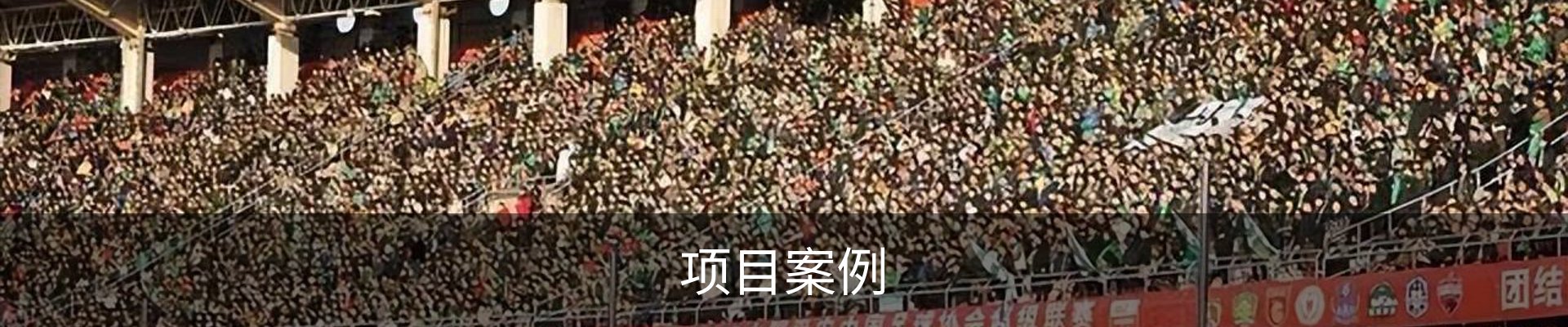 项目案例